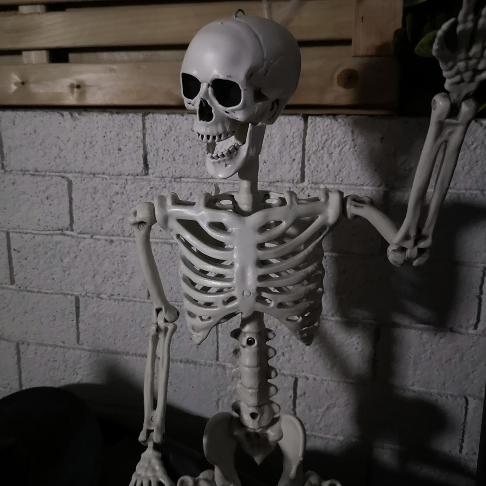 Samuel Alexander Posable Full Body Halloween Skeleton Decoration with Movable Joints 90cm 6 Pack Image 6