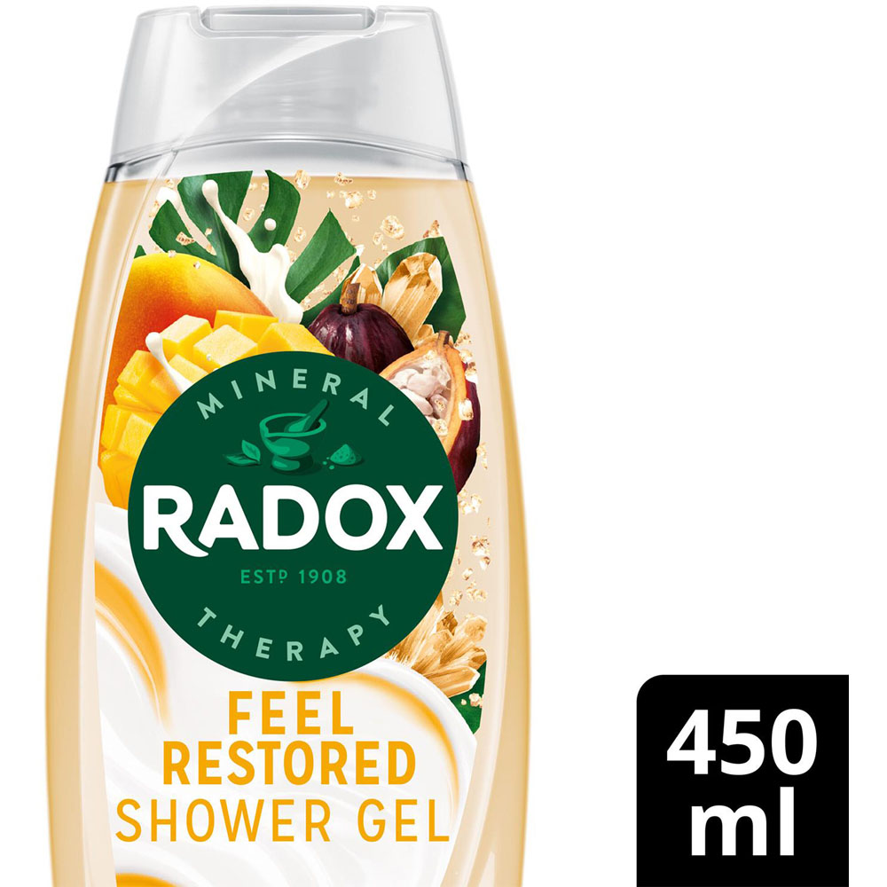 Radox Mineral Therapy Feel Restored Cocoa Butter Shower Gel 450ml 12 Pack Image 4