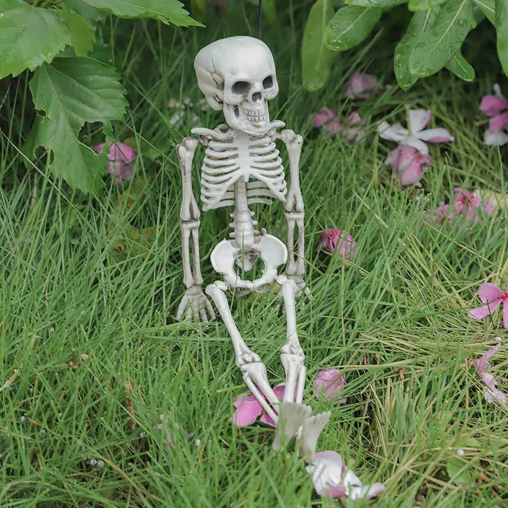 Living and Home Halloween Human Anatomy Skeleton 30cm Image 6