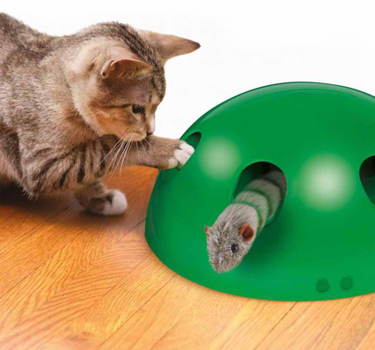 JML Pet Toys