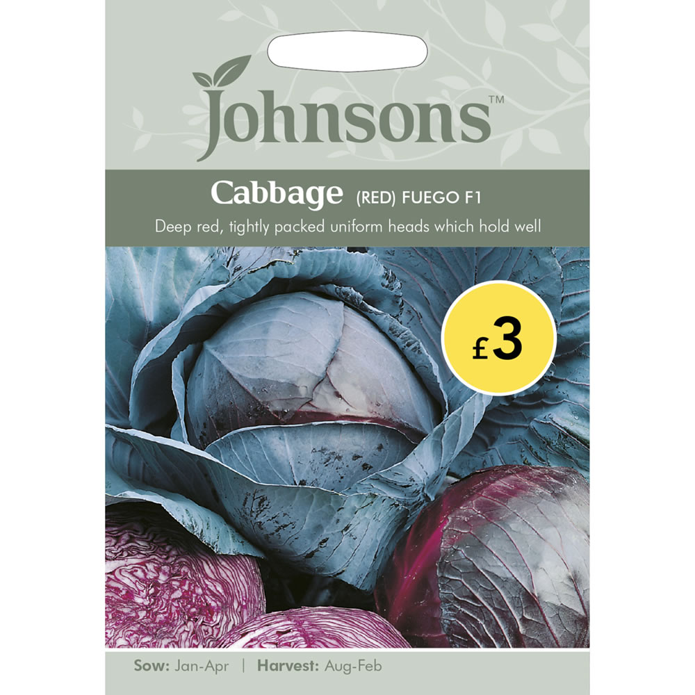 Johnsons Seeds Cabbage Red Fuego F1 Hybrid Image 2