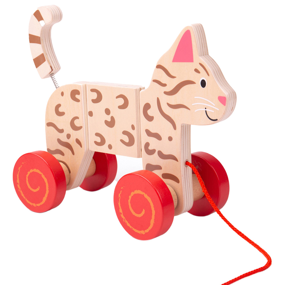 Bigjigs Toys Kids Wooden Pull Along Cat Image 1