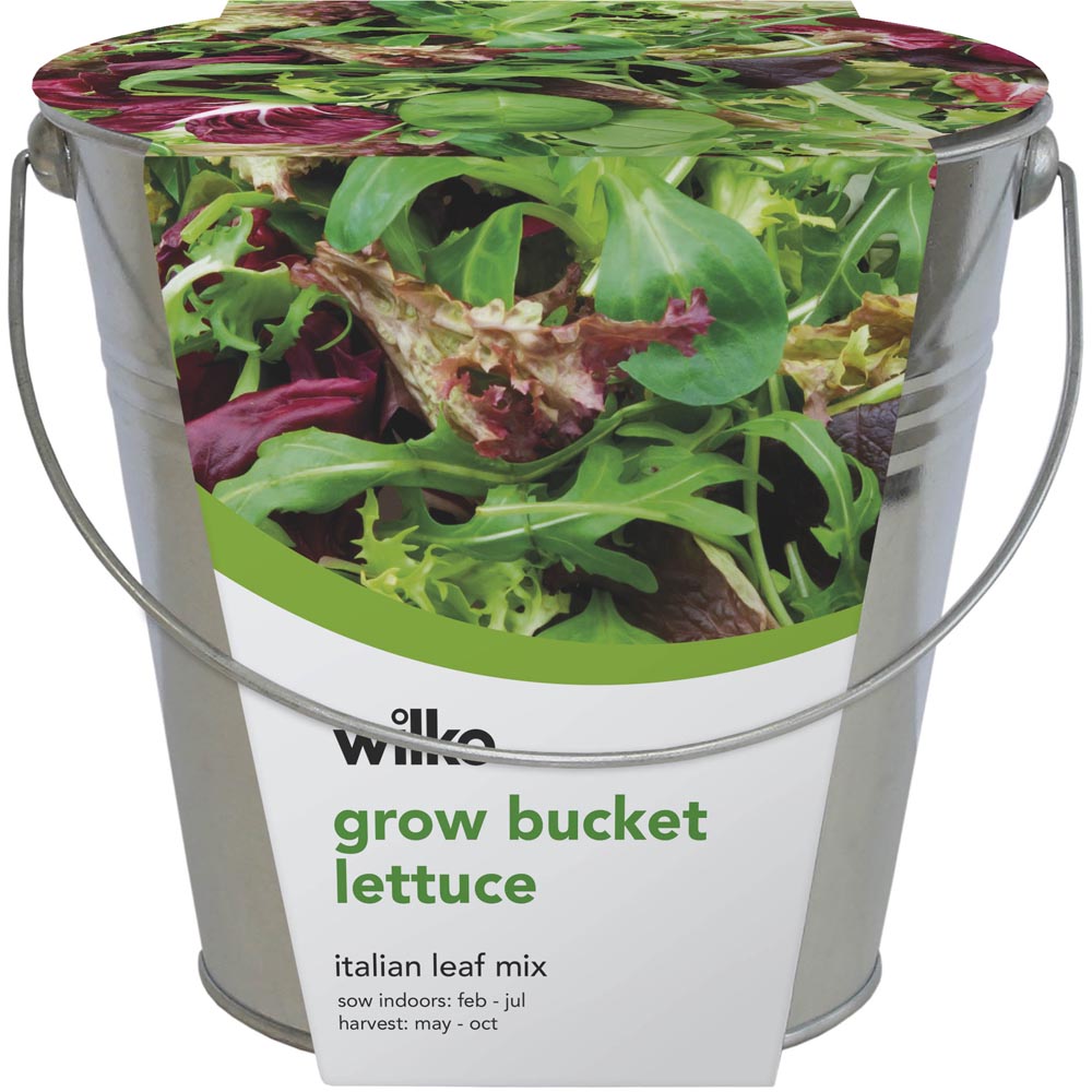 Wilko Grow Bucket - Italian Leaf Image