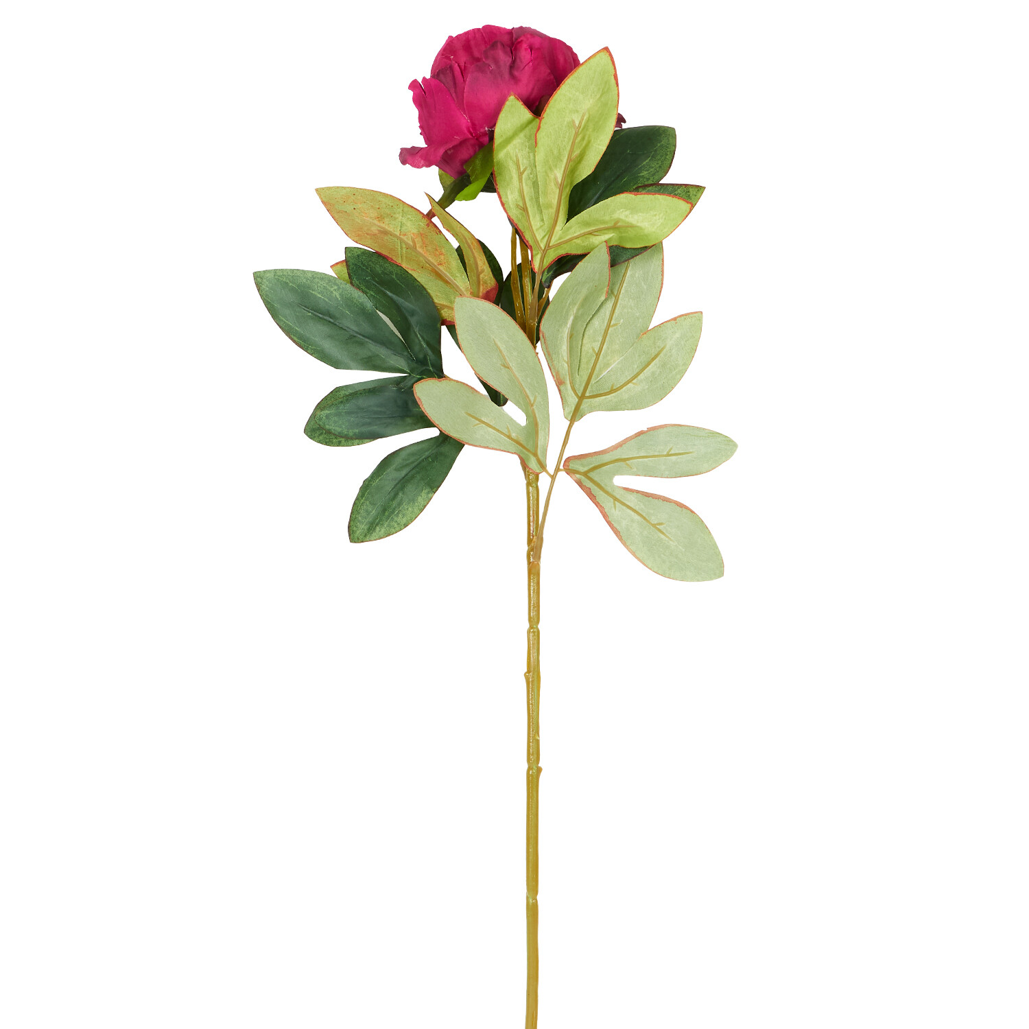 Faux Millicent Peony Image 6