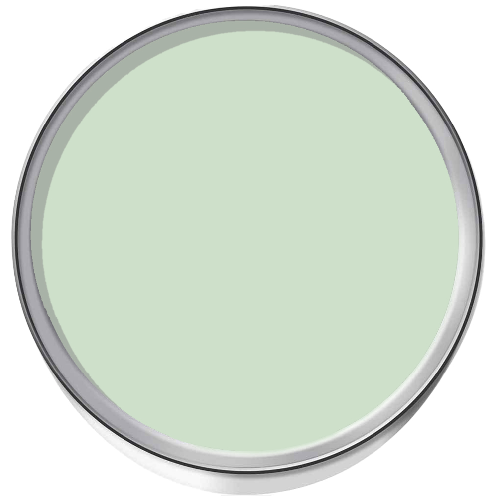 SmartSeal Green Anti Mould Paint 5L Image 3