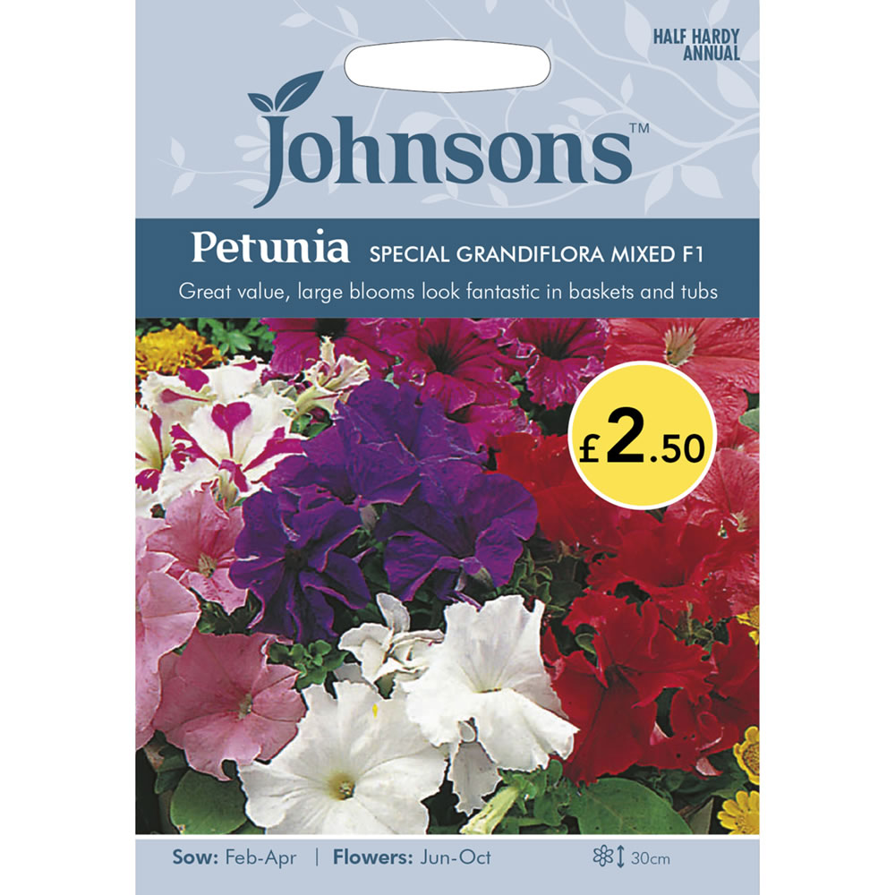 Johnsons Petunia Special Grandiflora Mix F1 Seeds Image 2