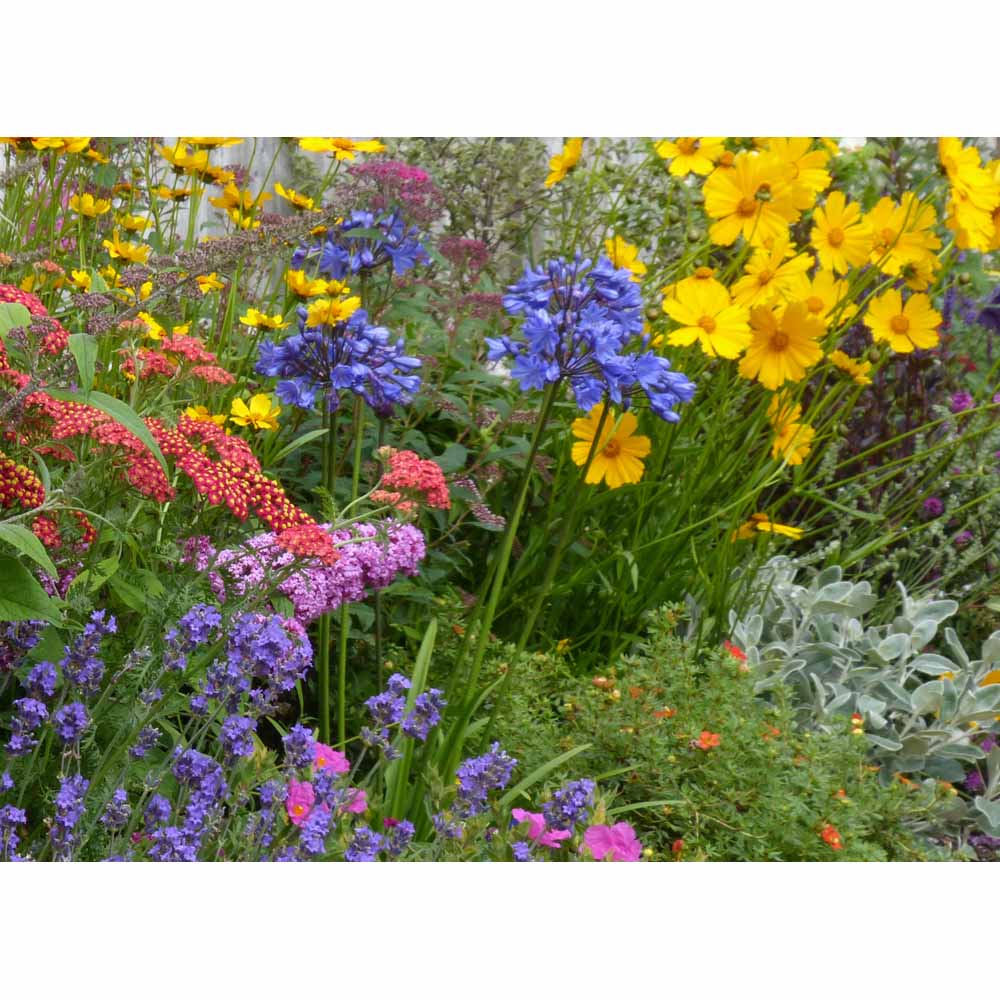 Garden On A Roll Wildlife Border Pack 3m x 60cm Image 6