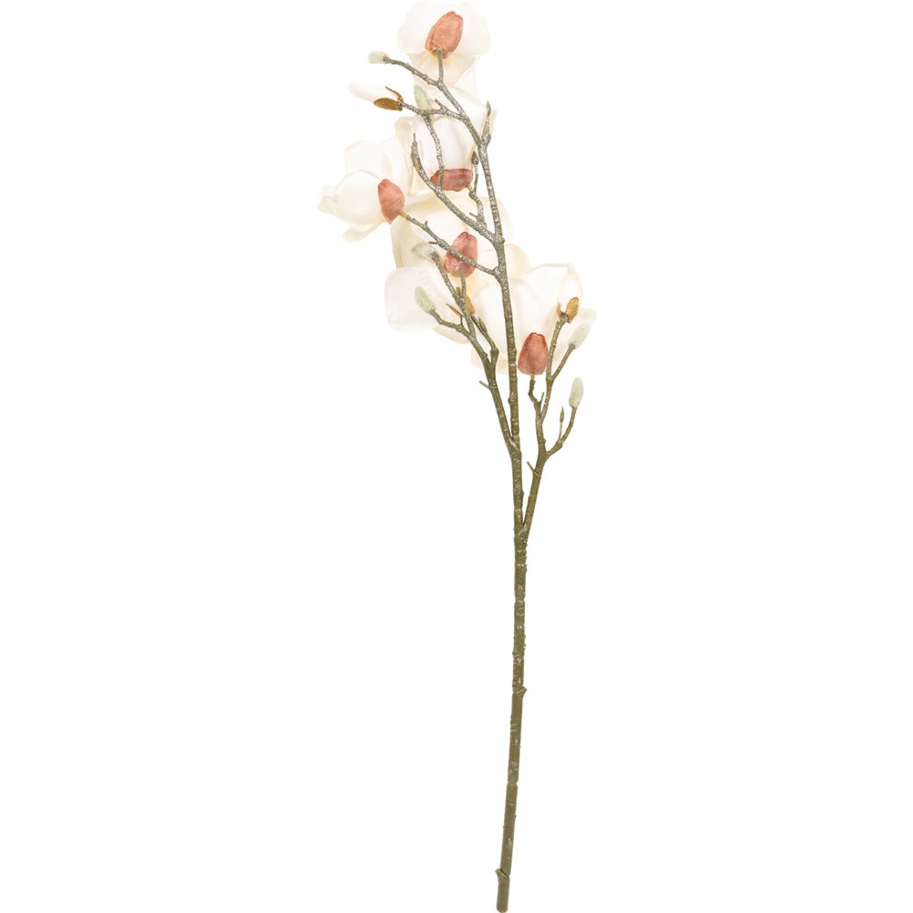Shimmer Magnolia Stem Image 4