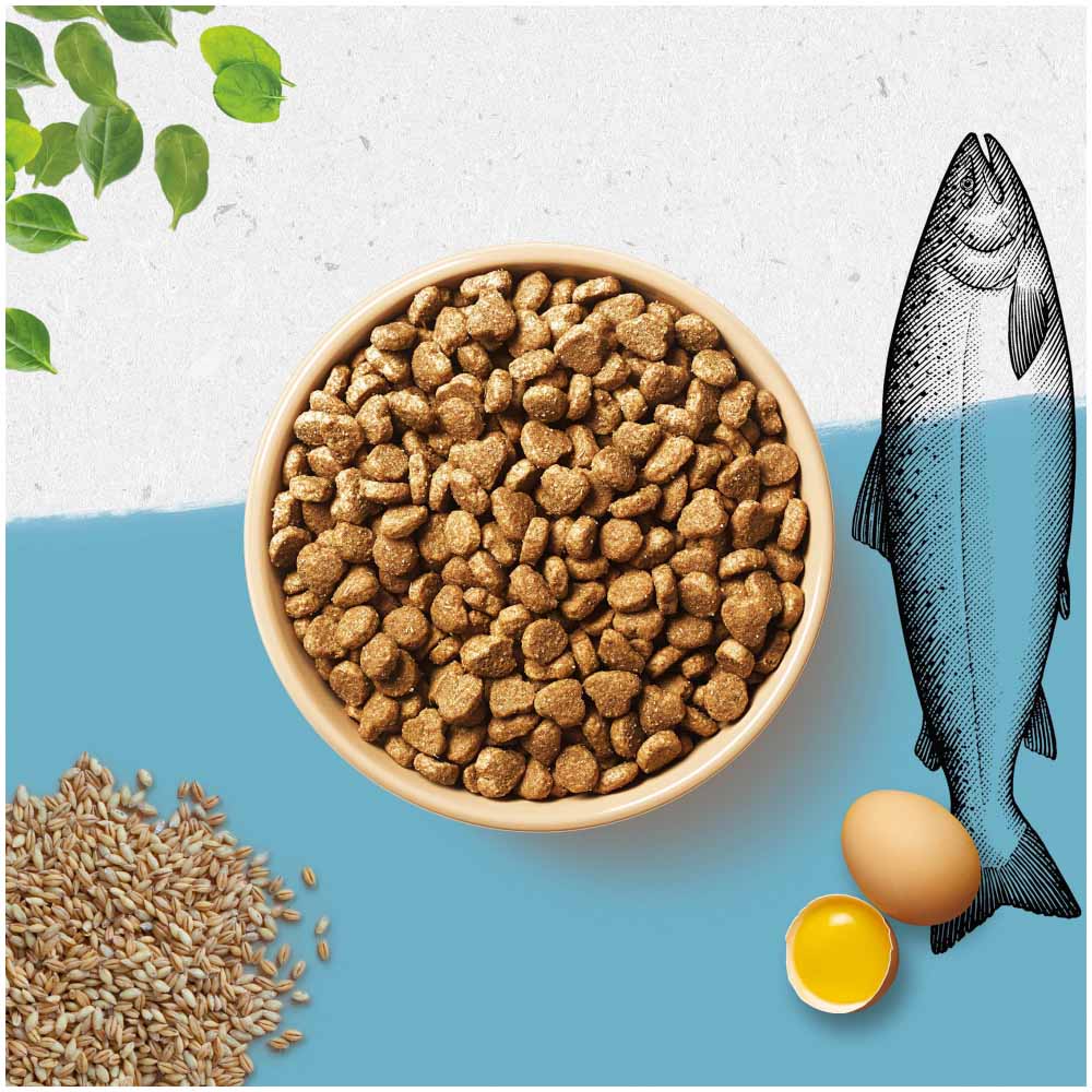 Beyond Simply Dry Cat Food Rich in Salmon 850g Image 3