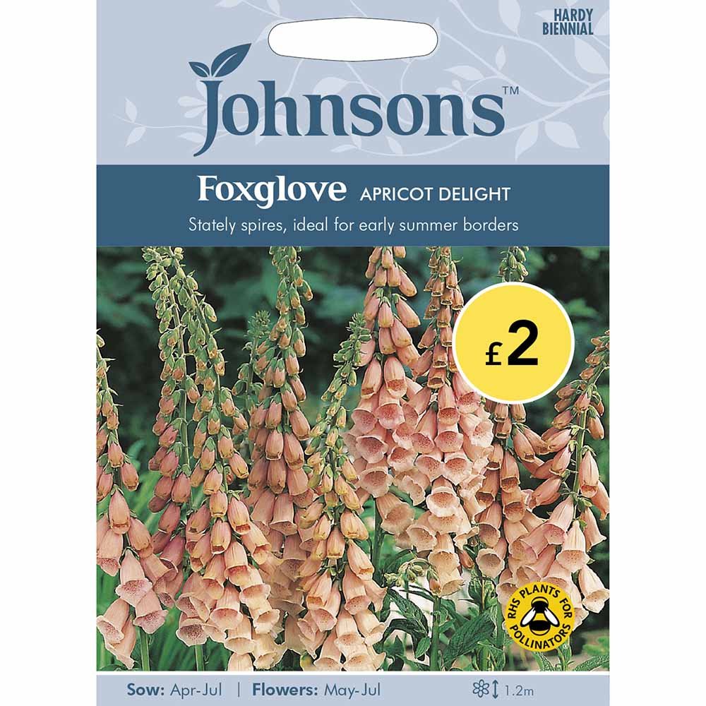 Johnsons Seeds Foxglove Apriciot Delight Image 2