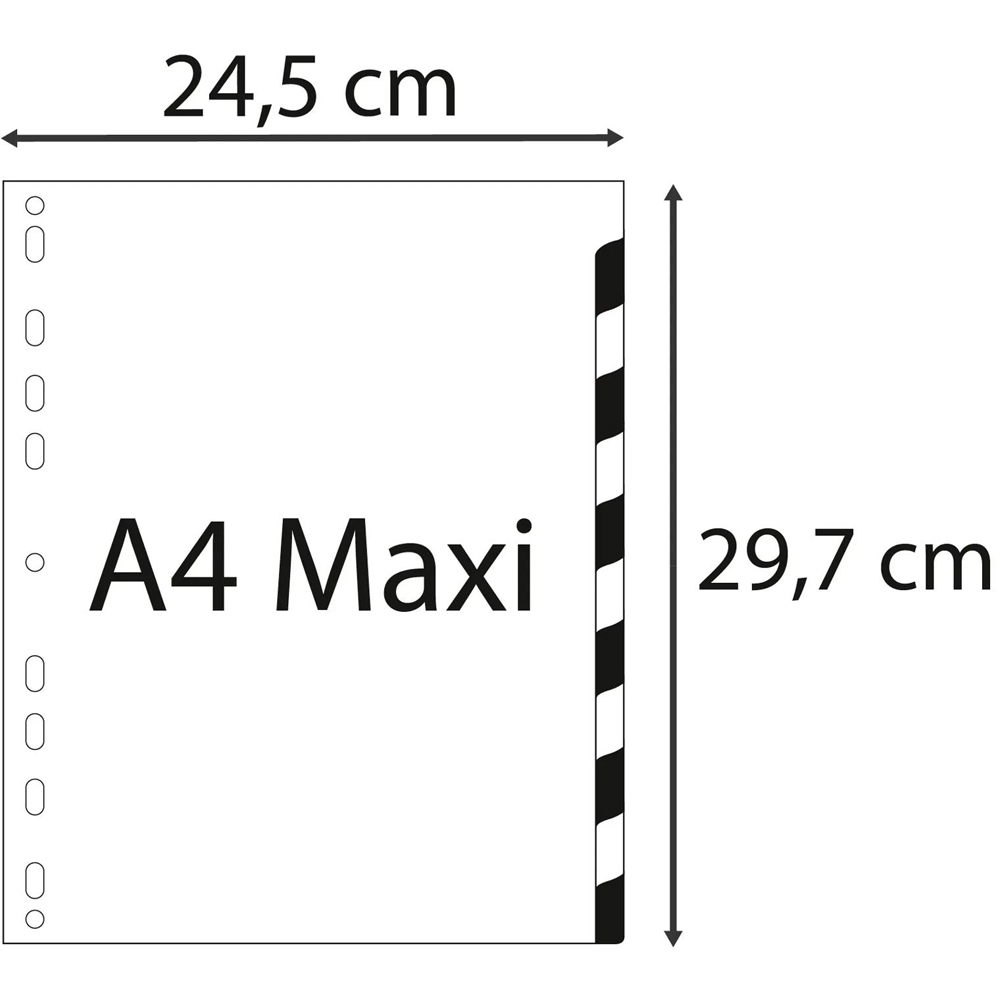 Exacompta A4 Maxi Bright Assorted Colour Polypropylene 1-12 Divider 20 Pack Image 6