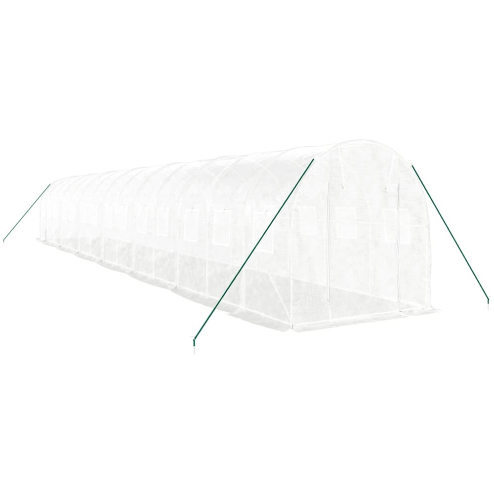 vidaXL White 6.5 x 46ft Greenhouse Image 3