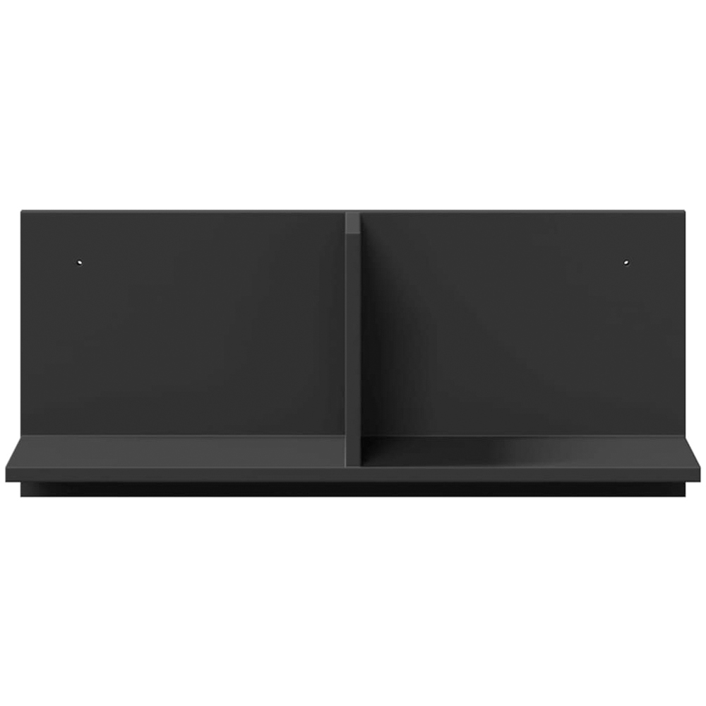 vidaXL 2 Shelf Black Wall Cabinet Image 3