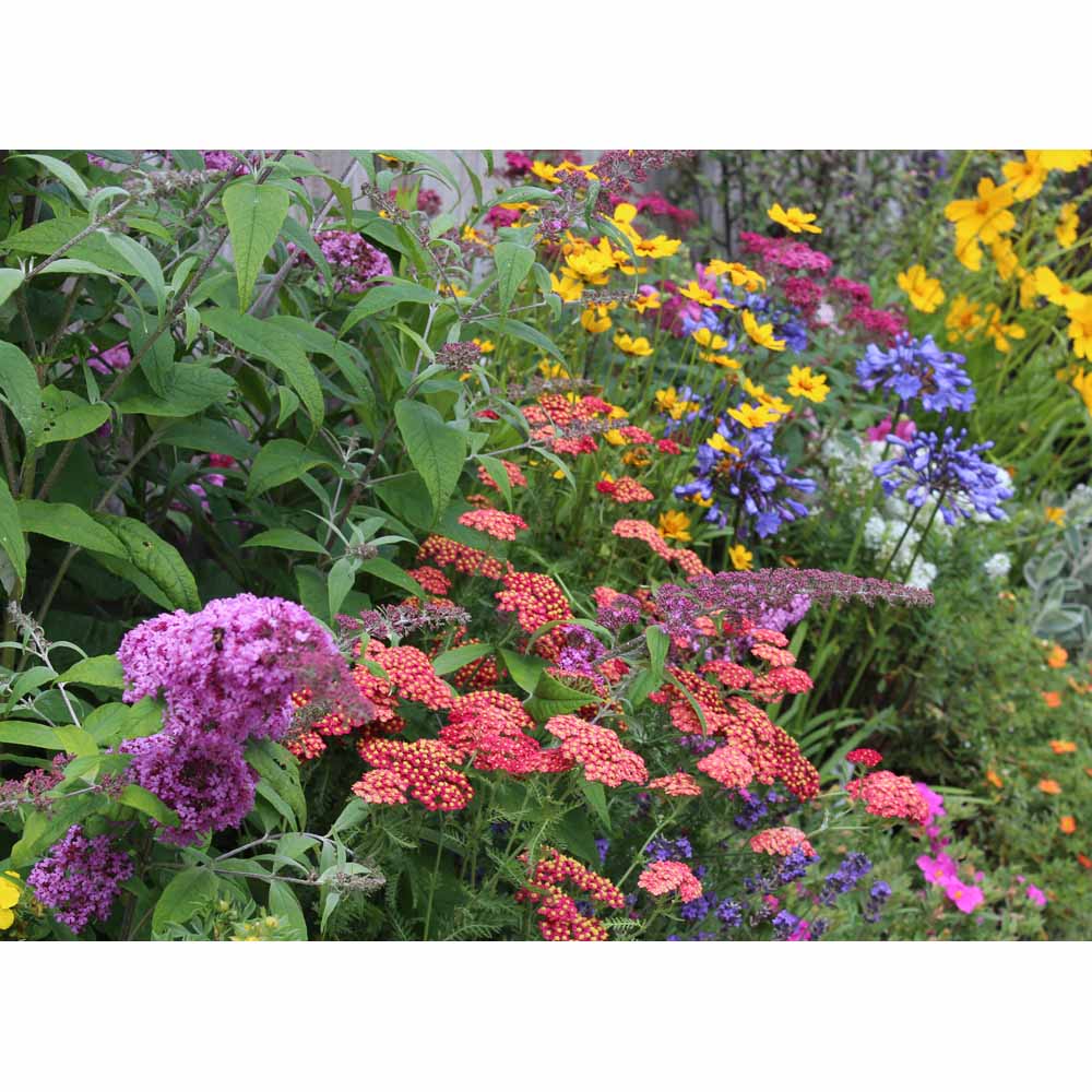 Garden On A Roll Wildlife Border Pack 4m x 60cm Wilko