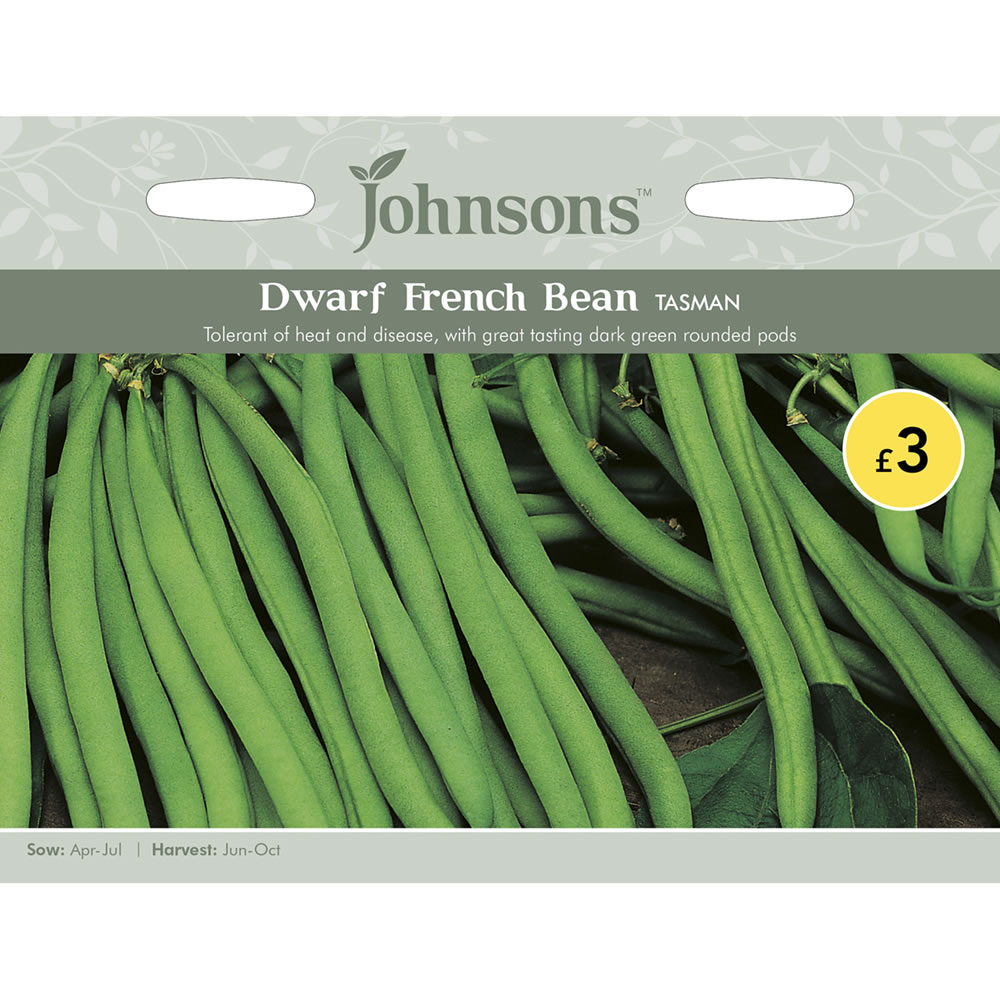 Johnsons Dwarf Bean Tasman Seeds Image 2
