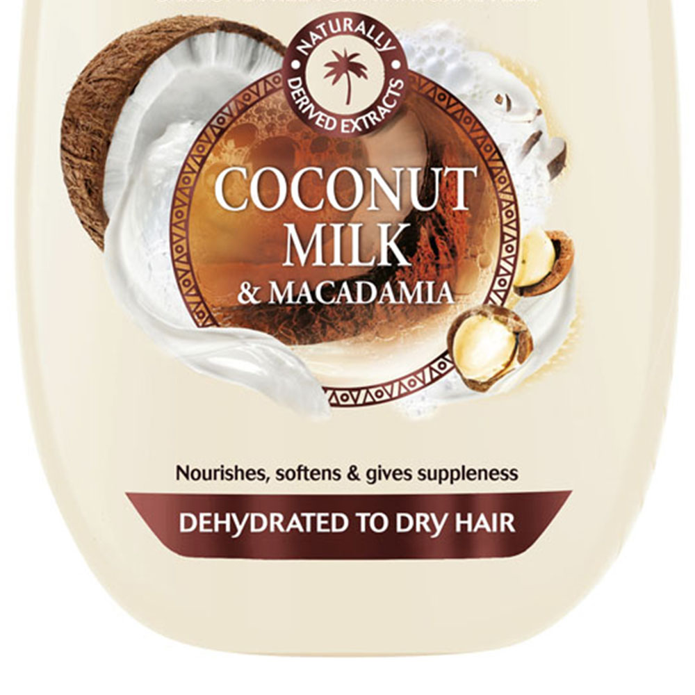 Garnier Ultimate Blends Coconut Milk Dry Hair Shampoo 400ml Image 3