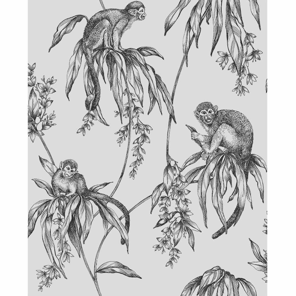 Superfresco Easy Saimiri Monkey Anthracite Wallpaper Image 1