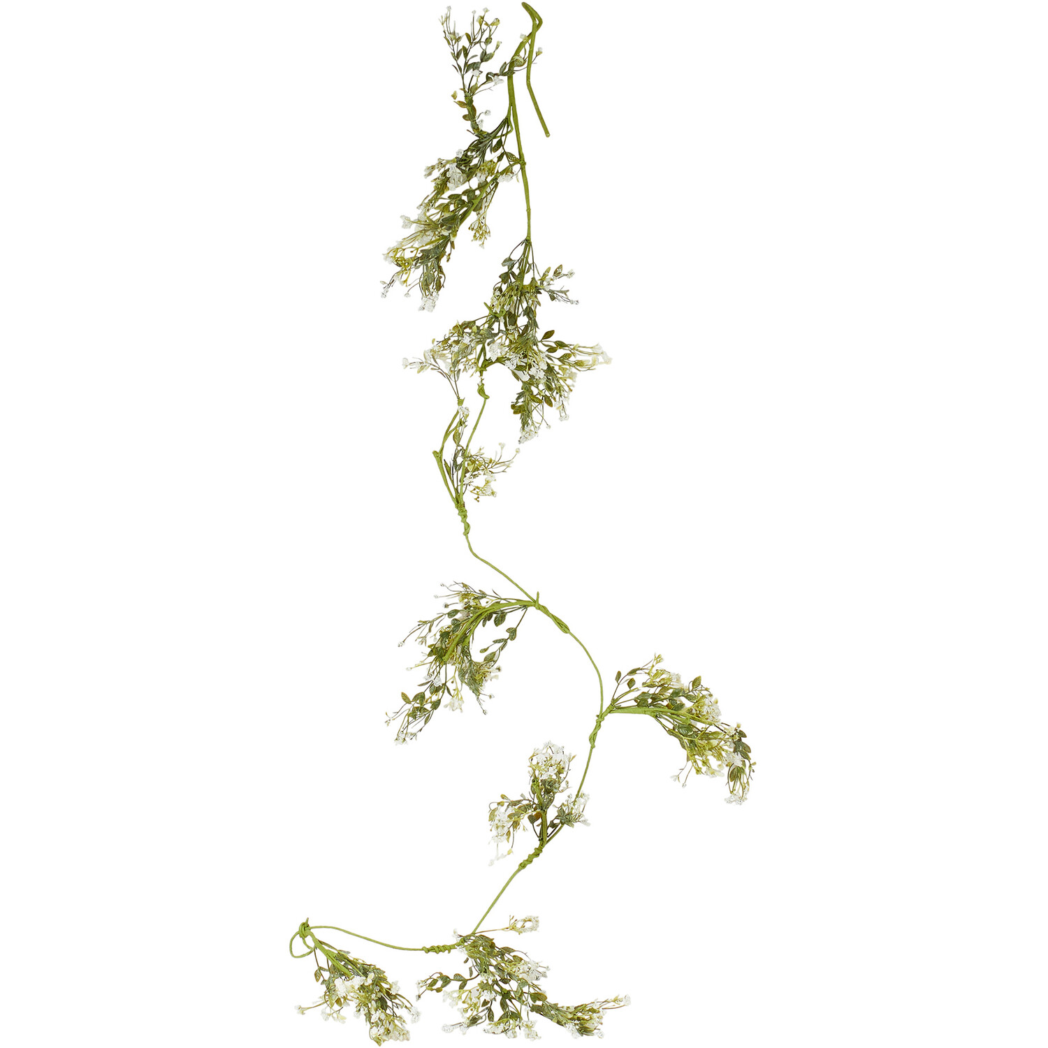 Gypsophila Spray - Green Image 1