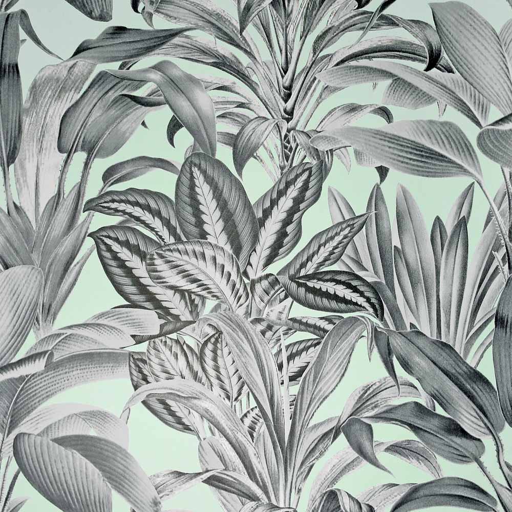 Arthouse Greenhouse Plants Mint Wallpaper Image 1