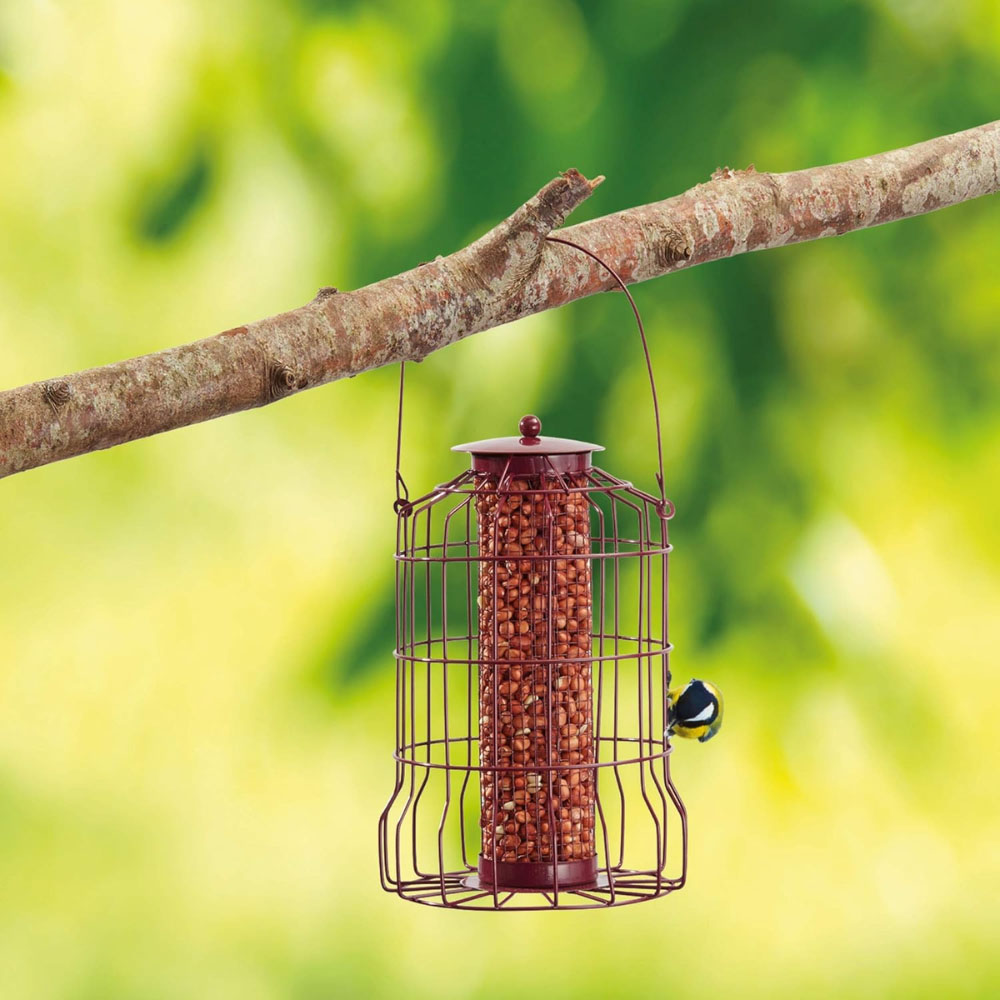 Happy Beaks Powder Coated Mesh Hanging Bird Nut Feeder with Squirrel Guard Image 2