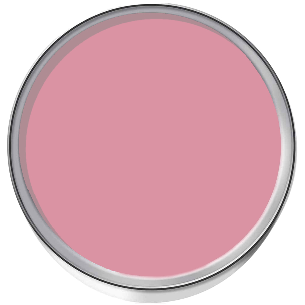 SmartSeal Berry Sorbet Pink Anti Mould Paint 5L Image 3