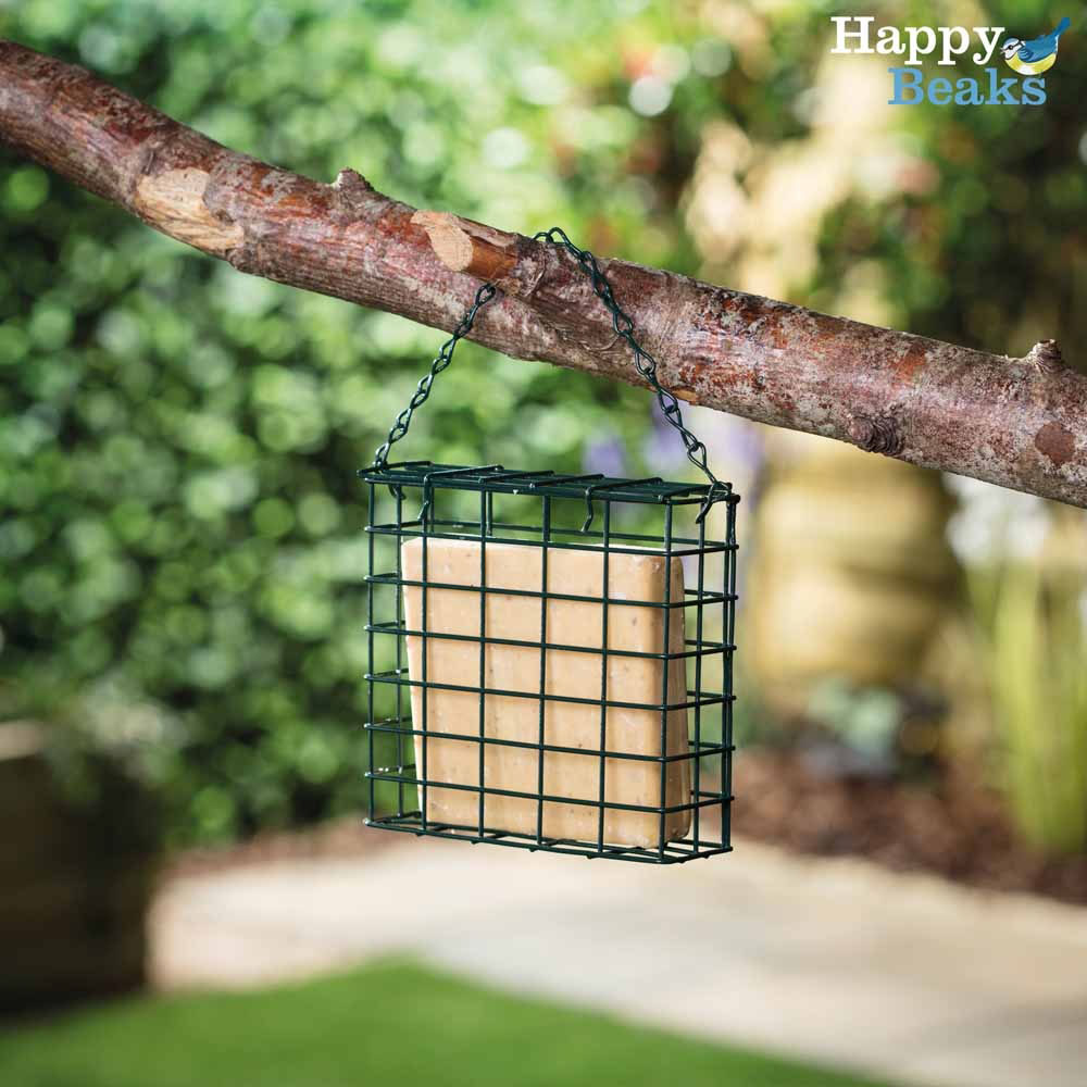 Happy Beaks Insect and Mealworm Suet Block Bird Food 3 Pack Image 2
