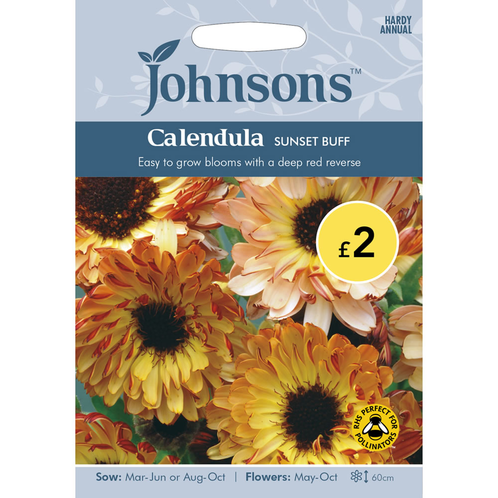 Johnsons Calendula Sunset Buff Seeds Image 2
