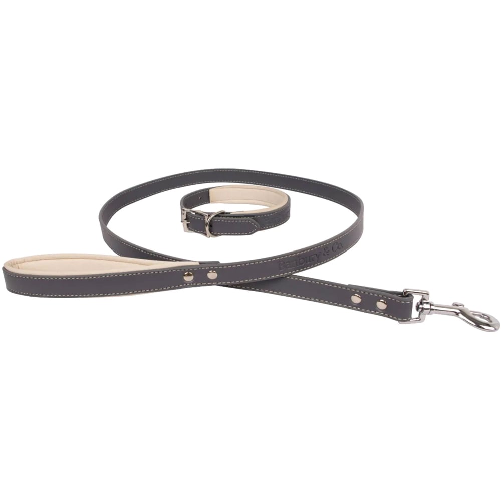 Banbury Luxury Dog Collar and Lead Set Image