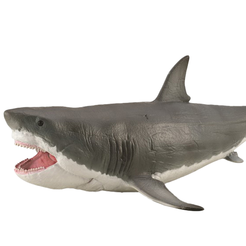 CollectA Megalodon with Movable Jaw Image 2