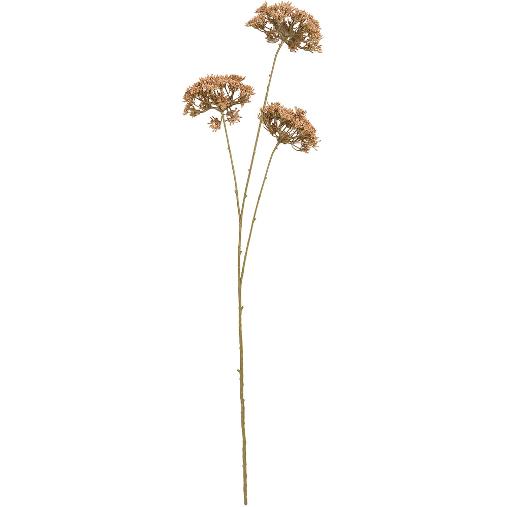 Queen Annes Lace Decorative Stem Image 2