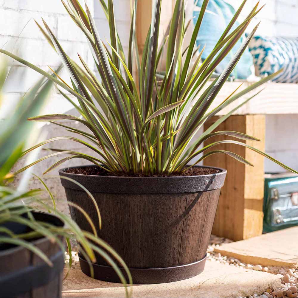 Plant Avenue Oban Dark Oak Whiskey Barrel Planter 45cm Image 5