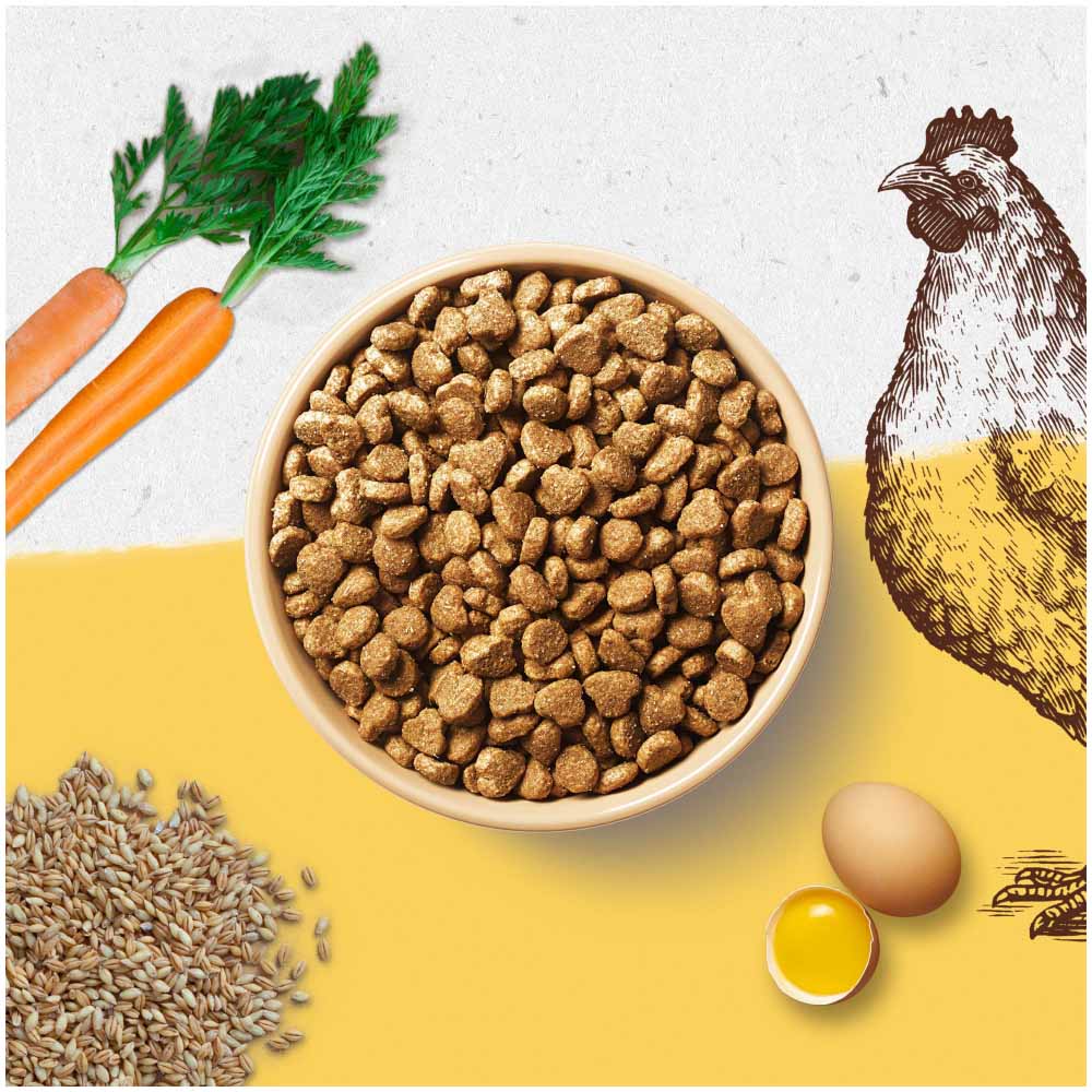 Beyond Simply Dry Cat Food Rich in Chicken 850g Image 3