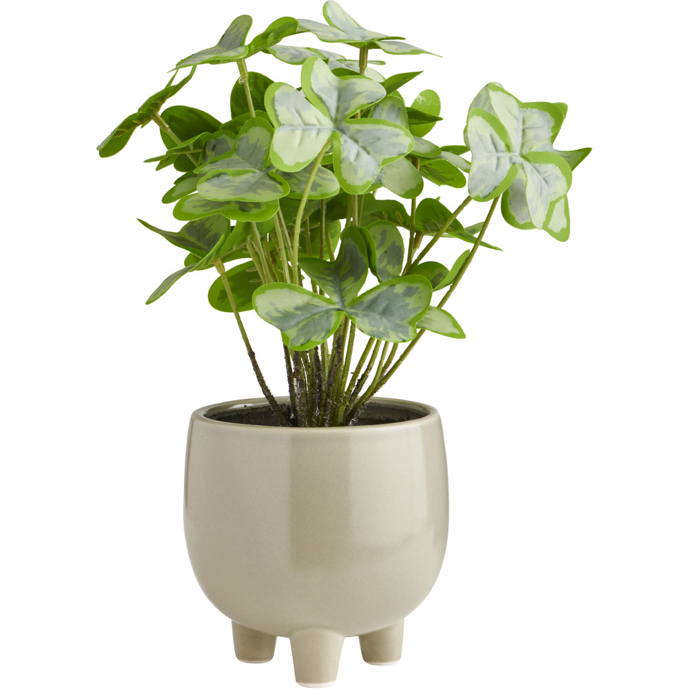 Soft Sanctuary Faux Plant In Footed Pot Image 1