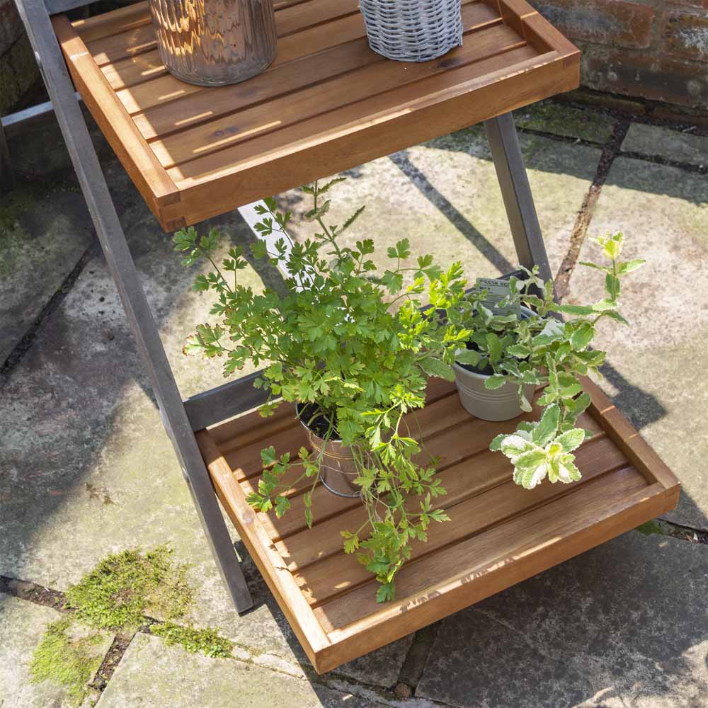 Alderley Plant Ladder Large Image 5
