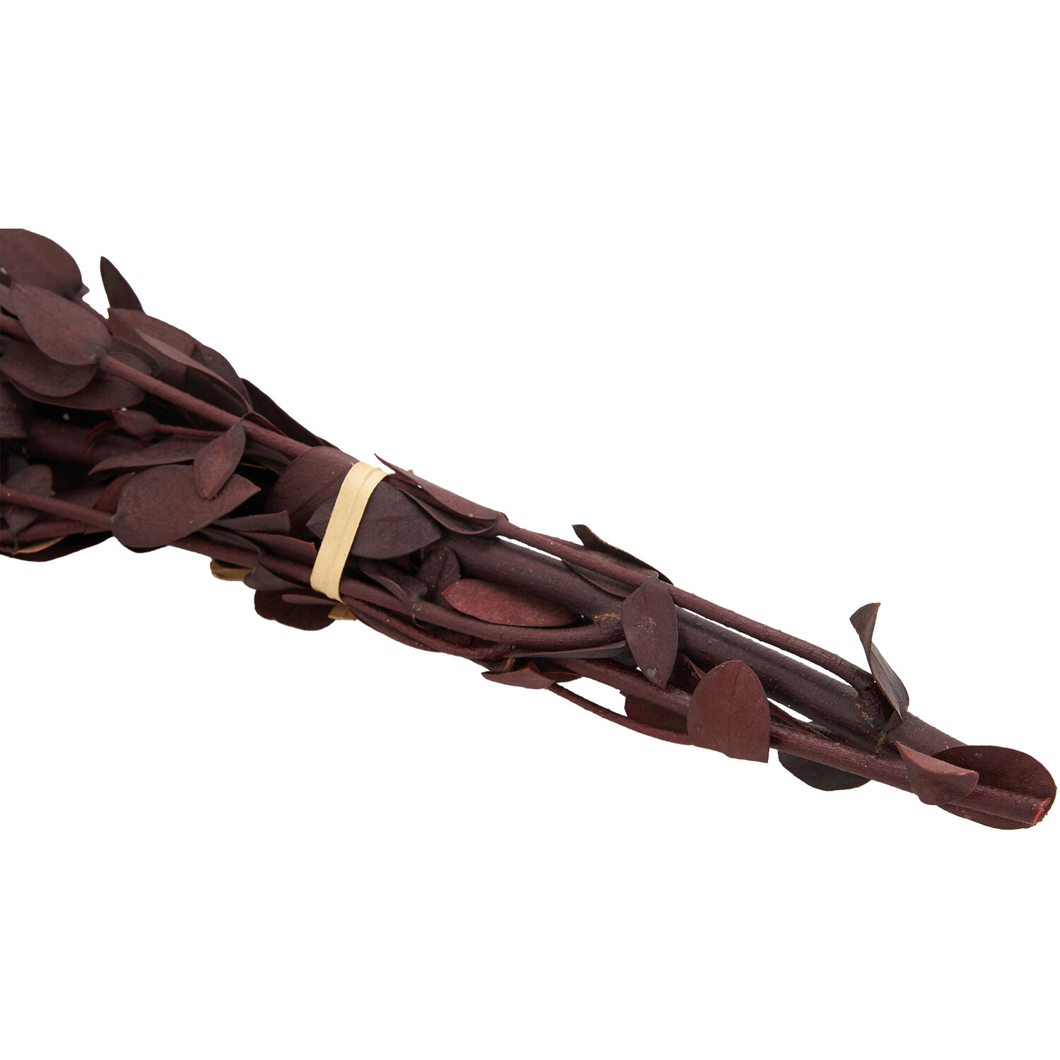 Mini Eucalyptus Bouquet Image 4