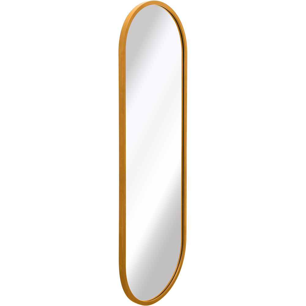 The Vultus Gold Double Arched Metal Leaner Wall Mirror 160 x 55cm Image 3