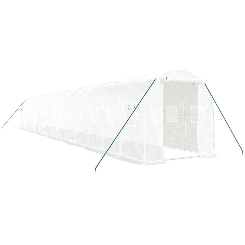 vidaXL White 6.5 x 46ft Greenhouse Image 1
