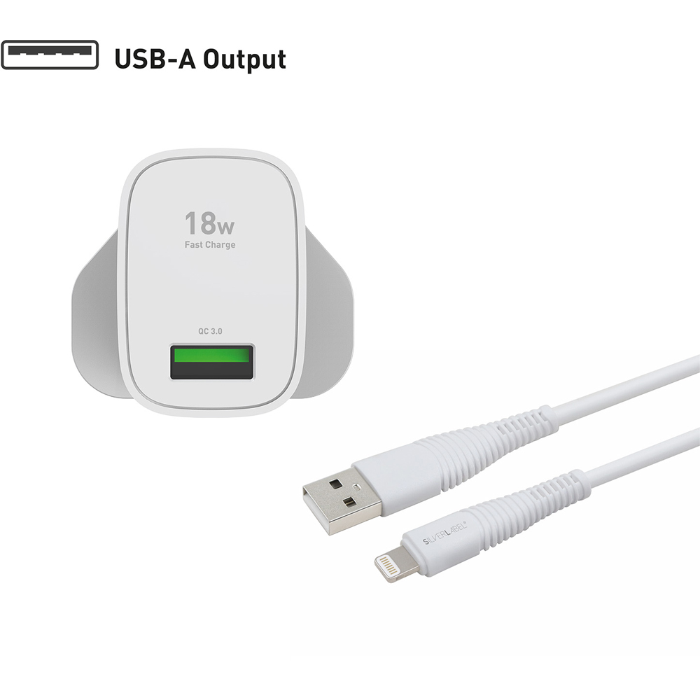 SilverLabel White Mains Charger and Lightning Cable Bundle Image 5
