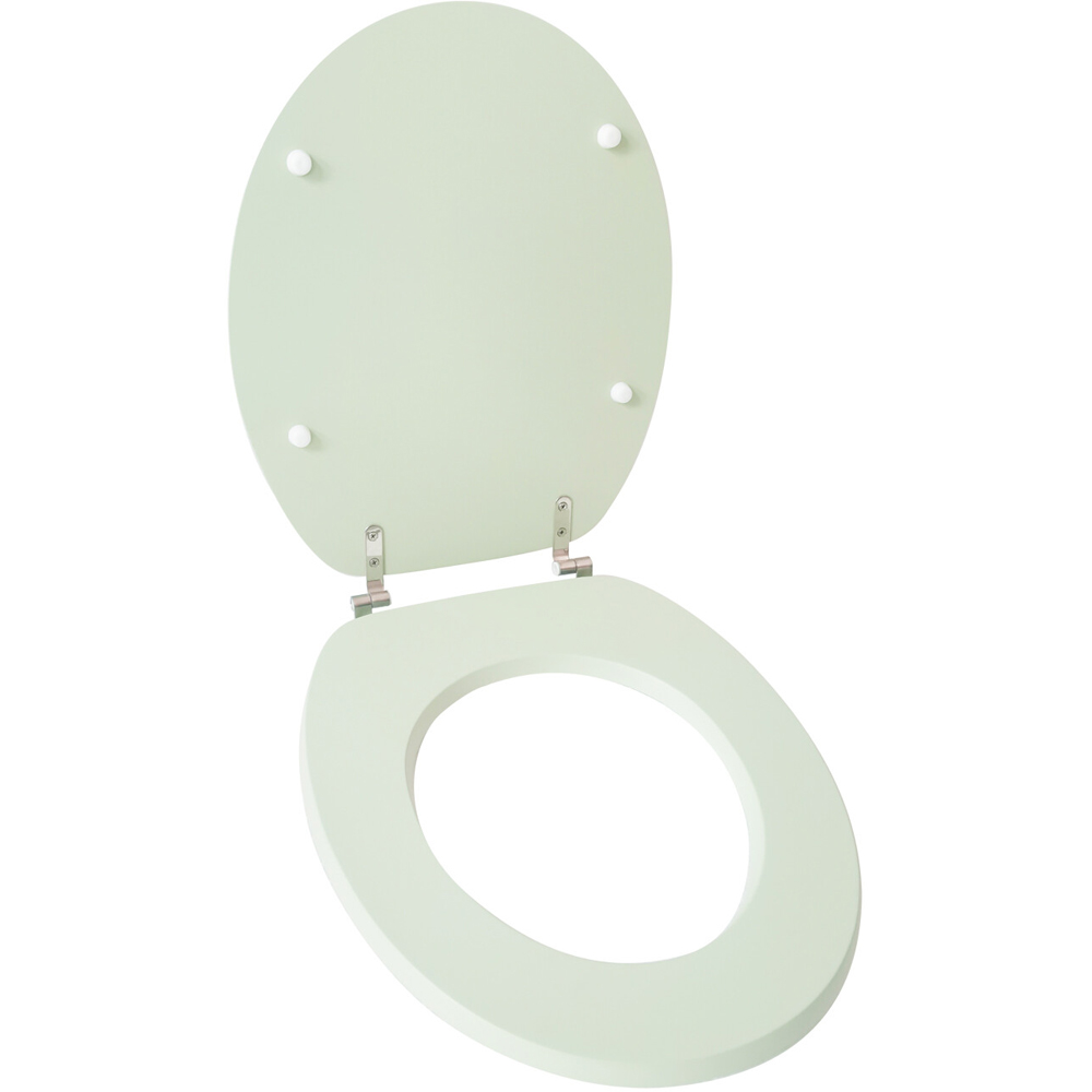 Sage Toilet Seat Image 3