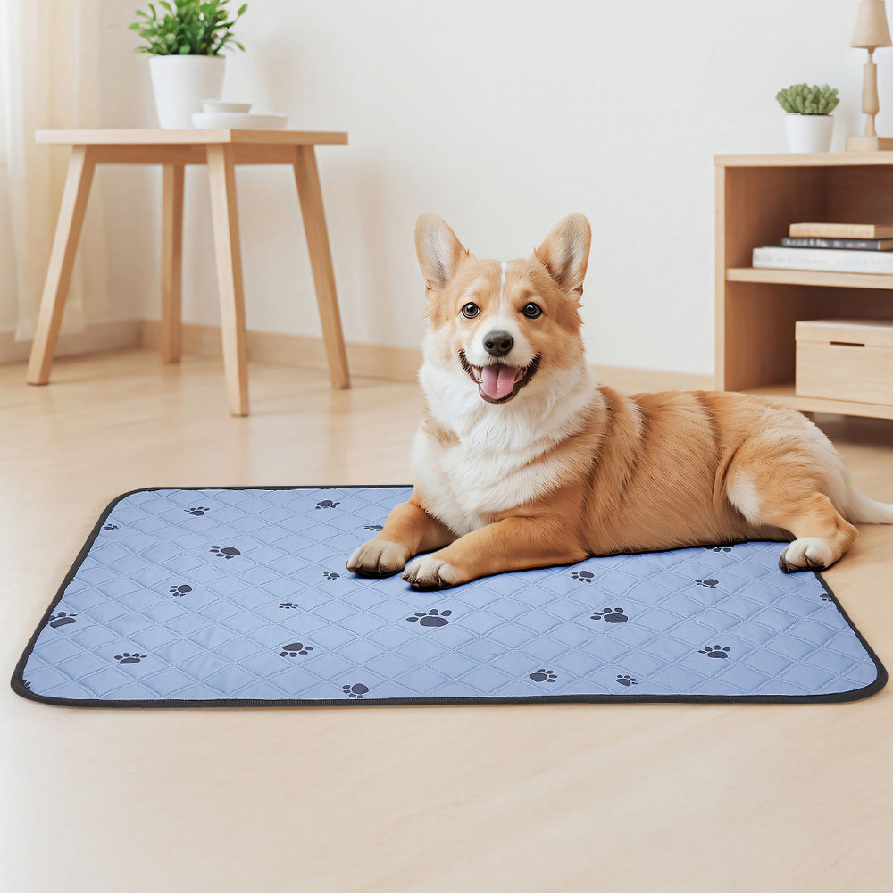 H&O Direct Reusable Pet Pee Pad 100 x 70cm 2 Pack Image 2