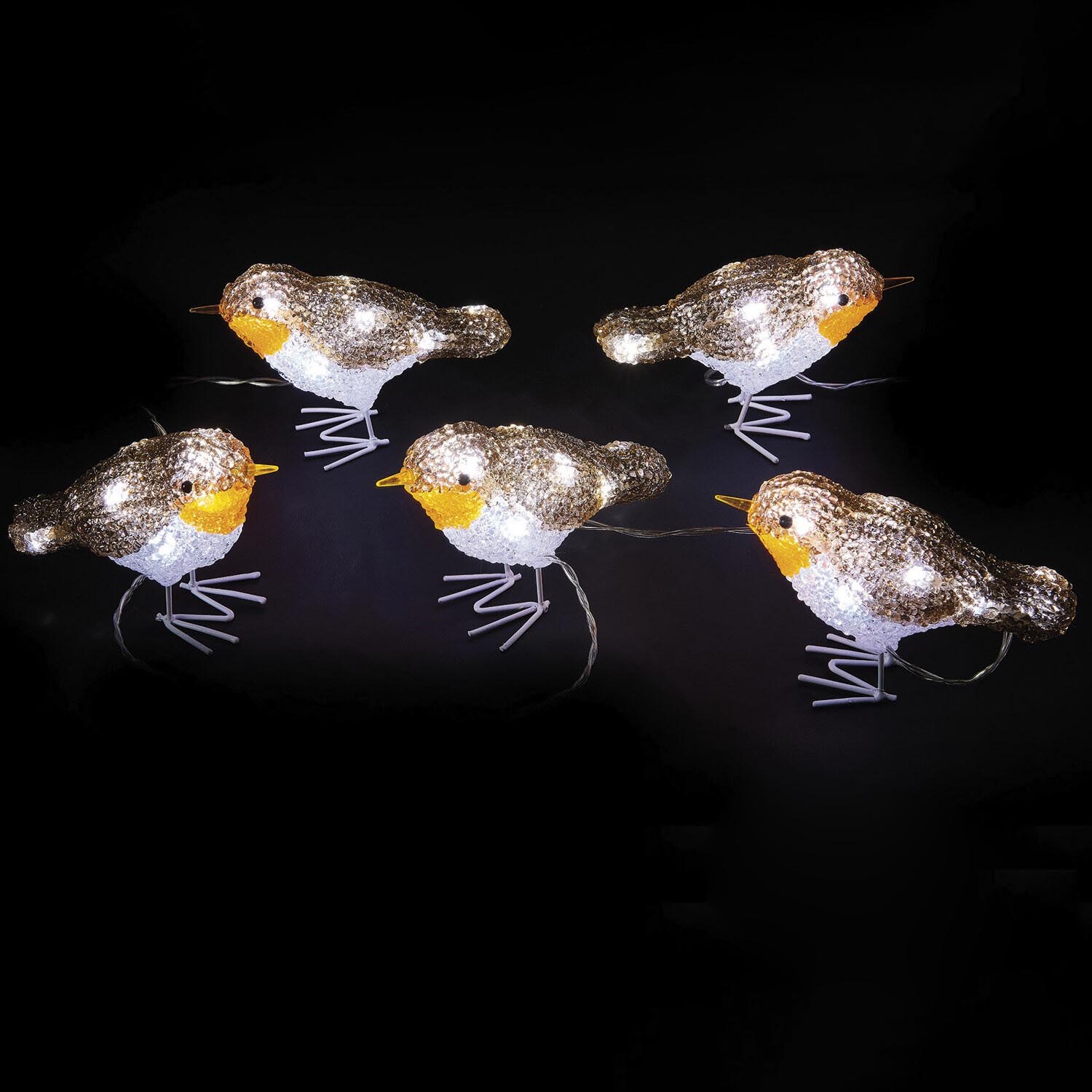 Acrylic Robin Lights Decoration 5 Pack Image