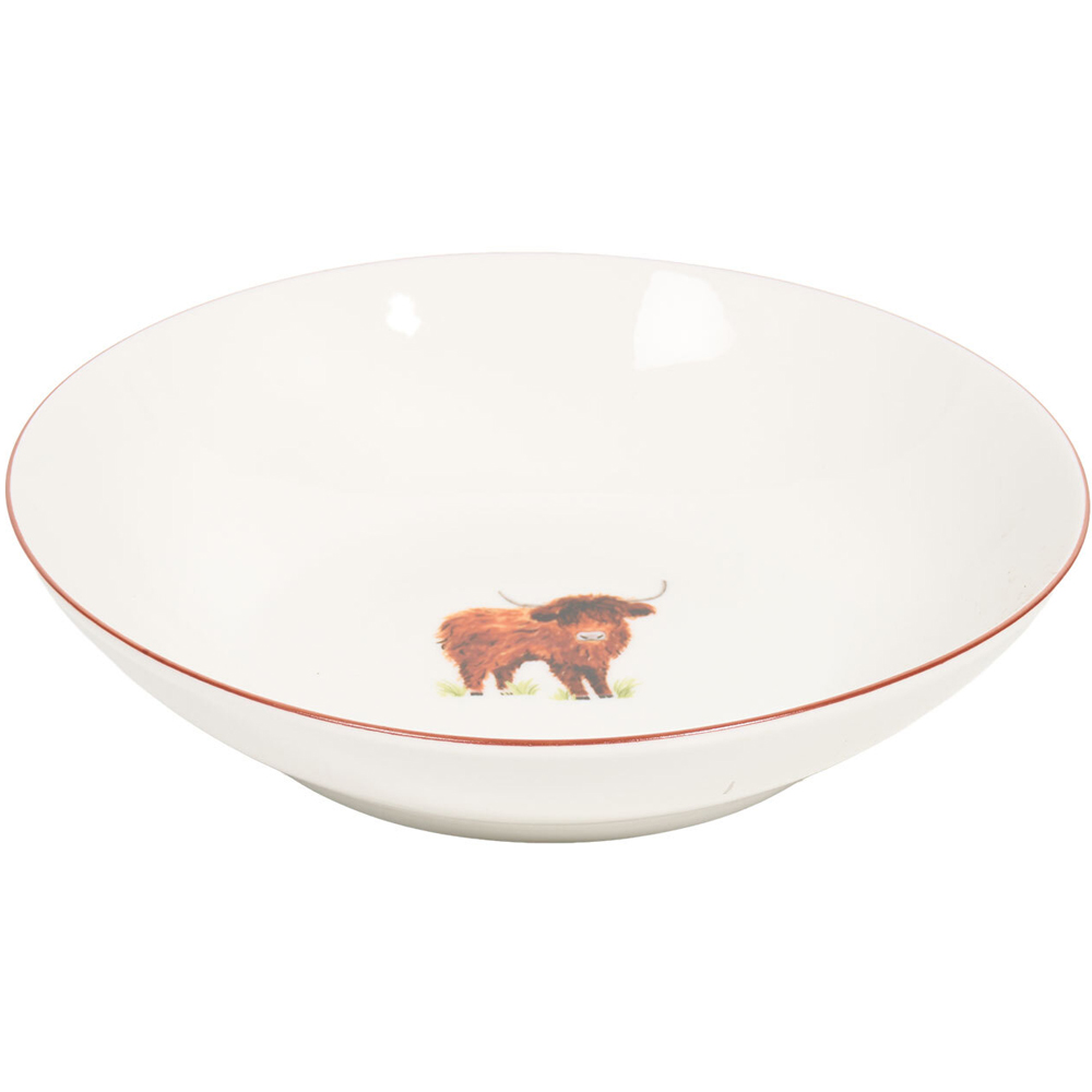 Pack of 4 Highland Cow Pasta Bowls White Image 5