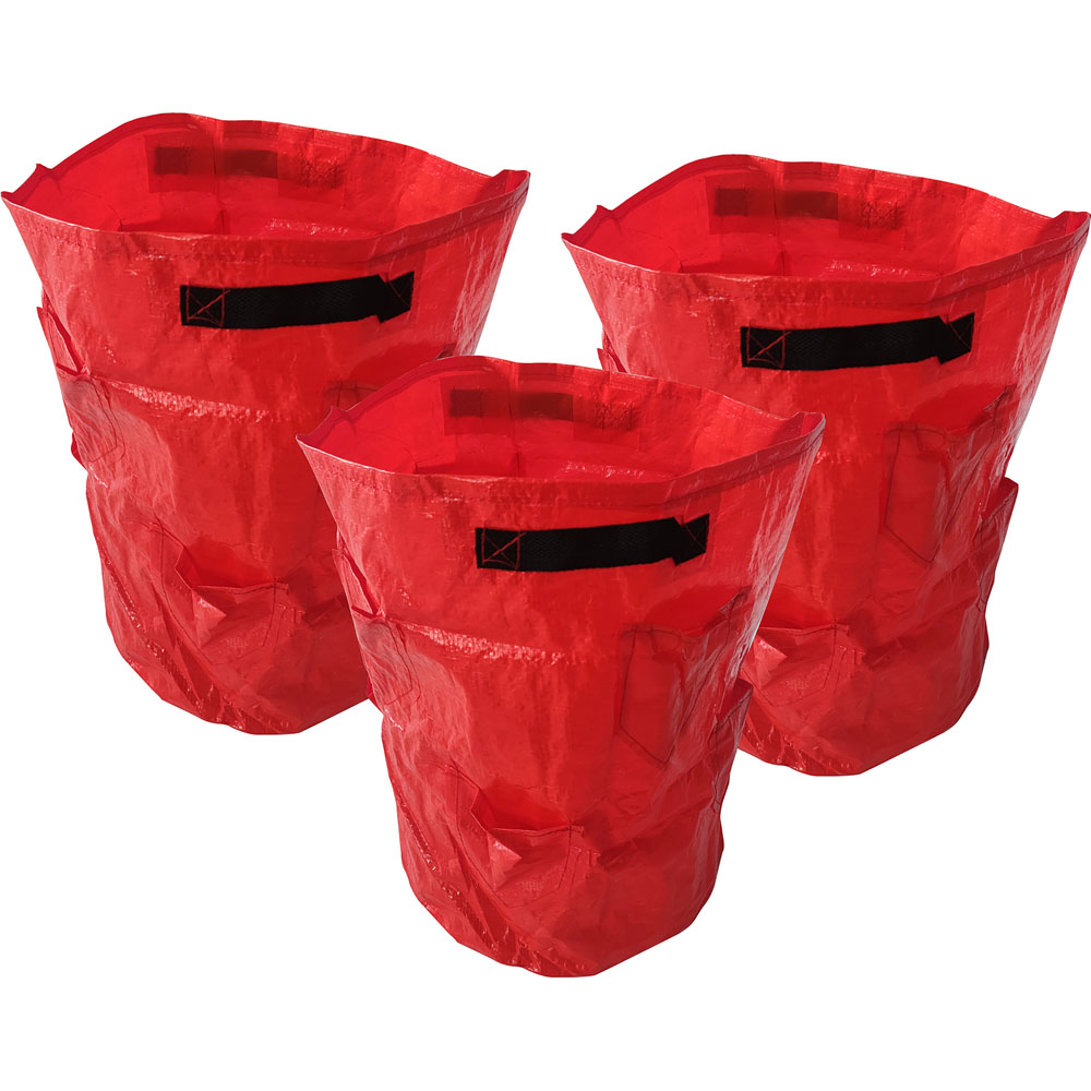 St Helens Tomato Grow Bags 3 Pack Image 1