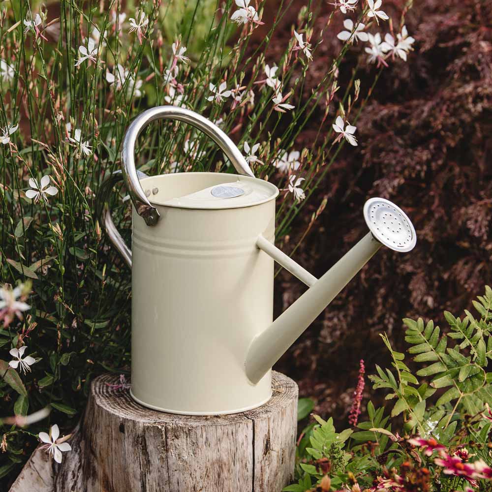 Kent and Stowe Cream Watering Can 4.5L Wilko