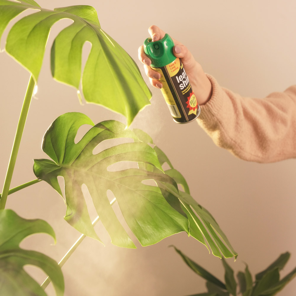 Baby Bio Leaf Shine 200ml Wilko