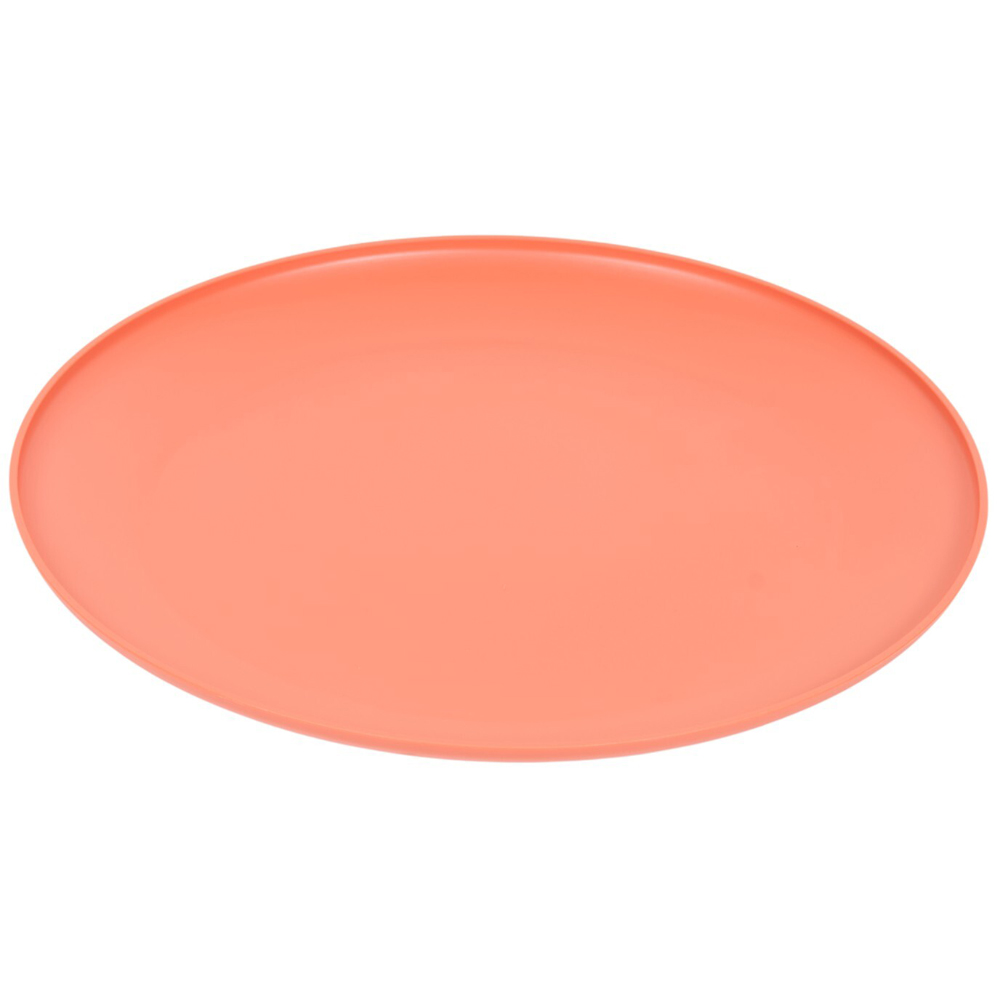 Pack of 4 Summer Dinner Plates Image 6