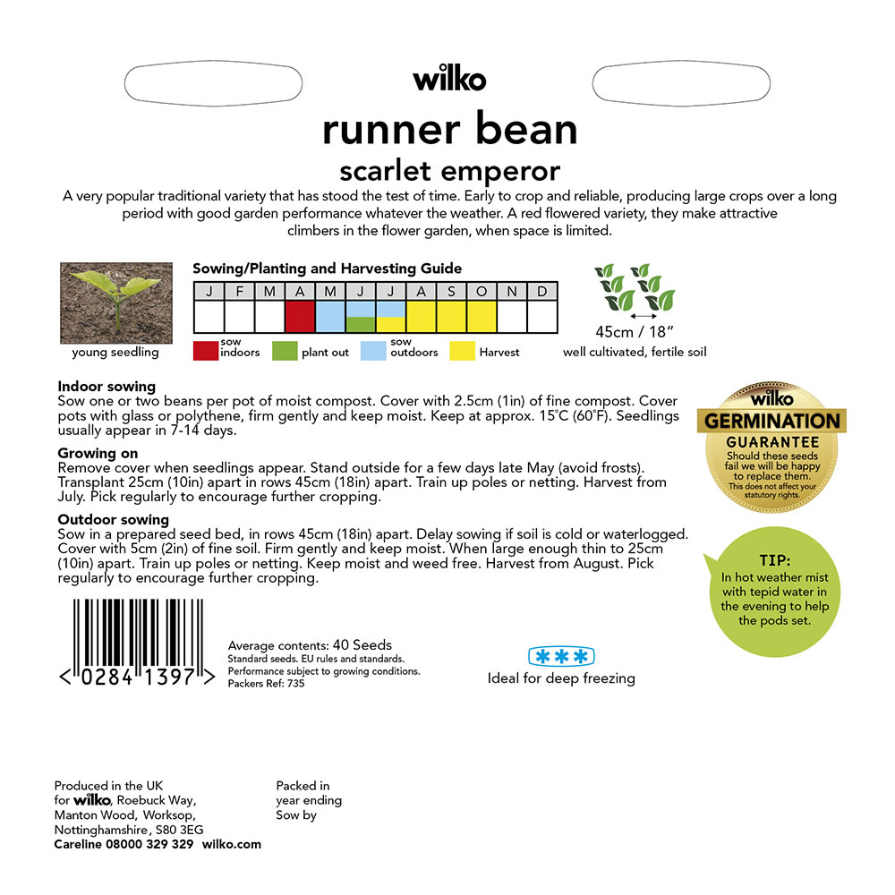 Wilko Runner Bean Scarlet Emperor Seeds Image 3