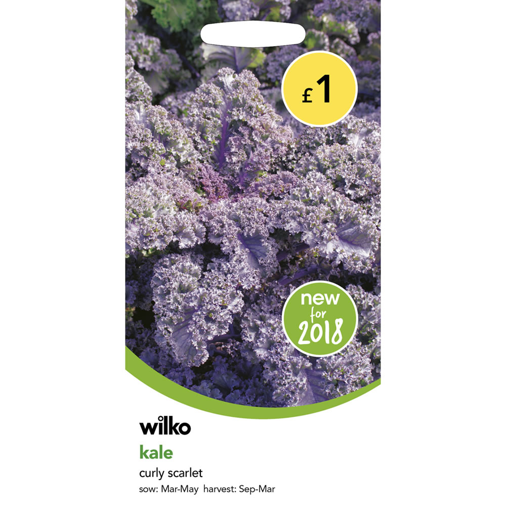 Wilko Kale Curly Scarlet Seeds Image 2