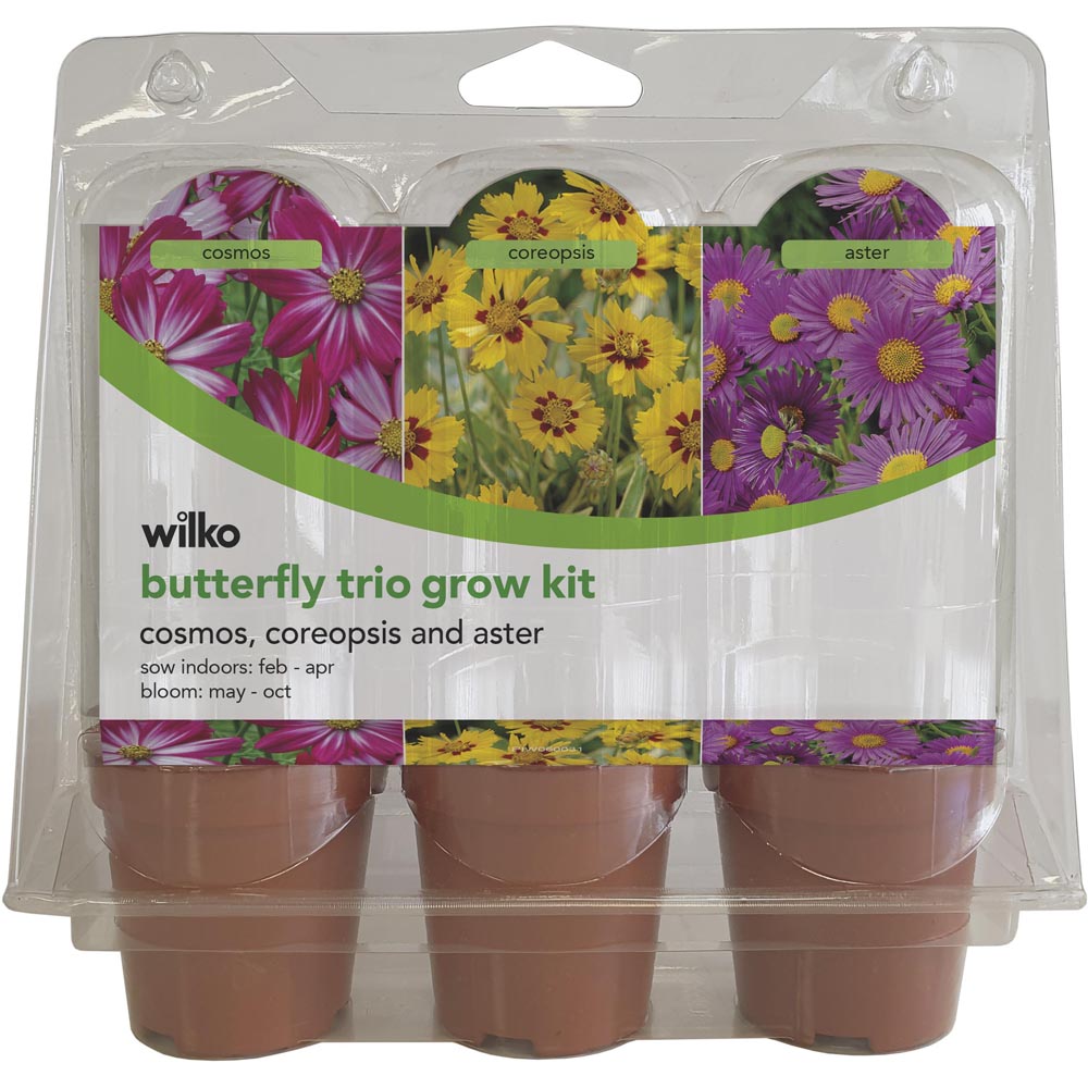 Wilko Grow Your Own Butterfly Trio  Kit Image