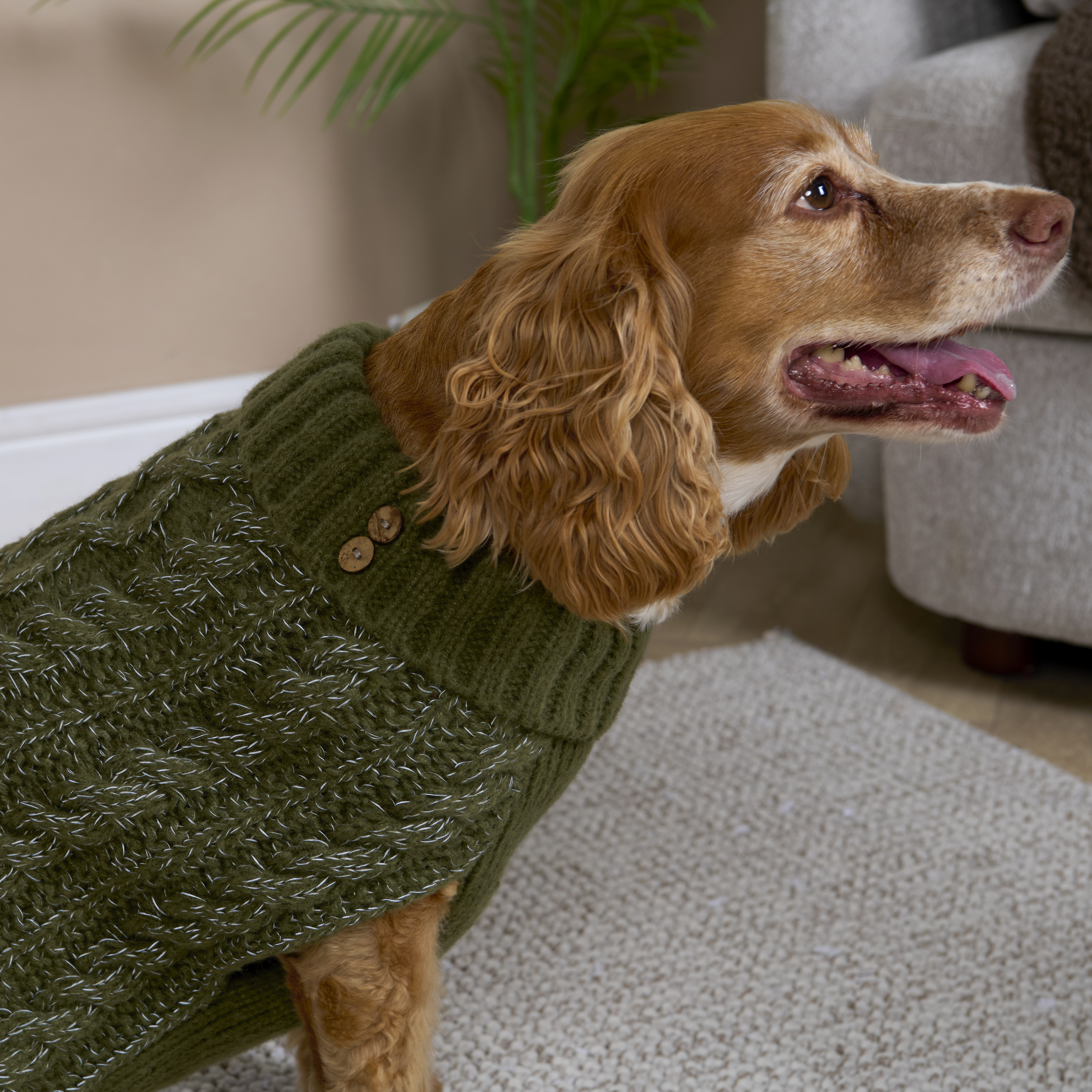 Reflective Roll Neck Pet Jumper M Image 3